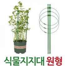 식물지지대 원형 원예 화분 지지대 지주대 넝쿨 꽃, 지지대-원형-75x27