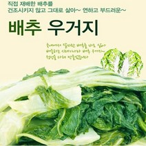 [1+1 증정] 직접 재배한 국내산 배추 우거지 배추우거지 우거지국용 시래기 무청 삶은나물 양구시래기 무청시래기 무우청시래기 강원도시래기 삶은시래기 무시래기 말린시래기 얼갈이배추, 1kg, 5봉+5봉