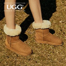 OZWEAR 호주정품 오즈웨어 UGG 클래식 숏 양털부츠 5colour