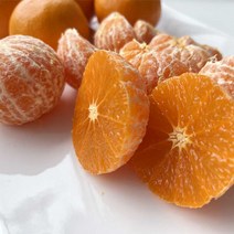 고당도 감귤 제주 불로초귤 선물용 3kg, 3kg 1박스