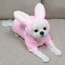 도기코디 반려동물 토끼보아 겨울 후드티, 핑크