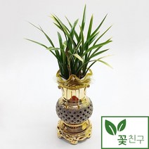 꽃친구 동양란 황룡관금투각 승진 취임 영전 축사 선물 화분