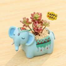 ROOGO 루고 다육이 미니화분 동물의 숲 파티 코끼리 (다육식물 불포함)