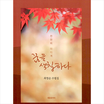 꿈을 색칠하다 + 미니수첩 증정, 최영순, 세종출판
