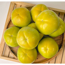 아삭아삭 고당도 태추단감 배단감 2KG 배처럼 과즙이 풍부하고 아삭한 식감 당도높은 단감 일년중 두달만 만날수 있는 특별한 단감 초록빛단감 주황빛단감, 1개