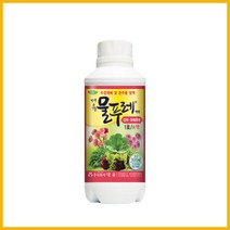 대유 물푸레 500ml 수경재배 양액비료 액비 영양제 관주용 과채 엽채 화훼류용 상추 딸기, 물푸레1호(엽채류화훼류) A액