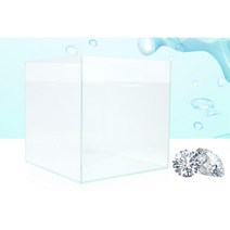 무다몰 깨끗한 인테리어 투명 수초어항 20cm 야마토새우 가제