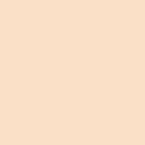 (아이헤이트먼데이 콜라보) 루나 롱래스팅 팁 컨실러 7.5g, (NEW) 1.5호 페탈