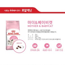 길고양이 길냥이 사료 어린 고양이 생후 4개월 2kg