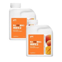 흥국에프앤비 맘스리얼베이스 애플망고1kg 2개