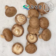 [공룡나라]고성 웅이표고농장 생표고버섯(생표고 하품1kg), 단품