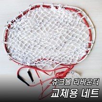 다우리 츄크볼리바운더 교체형 네트