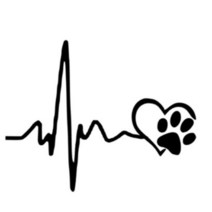 자동차 뒷유리 범퍼 옆문 흠집가리기 비트 스티커 아반떼MD 낚시용아이스박스 올뉴카니발 GV70 새차선물 미니쿠퍼 밋밋한 K5 티볼리 운전석문 볼보 K7, 1개, 화이트