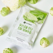 이제부터 유산균 함유 양배추즙 100ml, 30팩