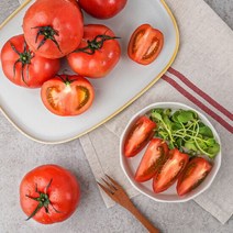 GAP인증 고영국 완숙토마토 5kg 1-3번 로얄과 (유럽종), 단품