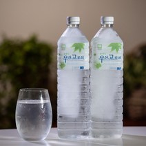 24년 첫물 울릉산지직송 우산고로쇠 수액 고로쇠물, 1.5L, 12개