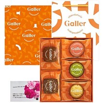 로이스 BATON COOKIES 일본 직수입 갤러 갤리 초콜릿 쿠키 3종 포장 12개입 선물 박스 연말 과자 크리스마스 선물 벨기에 왕실 납품 공식, 어머니 선물, 25개
