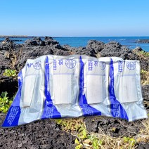 제주 명품 은갈치 제주갈치 갈치살 특산품 갈치조림 갈치구이, 500g 1마리(4팩)