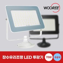 장수 LED 투광기 투광등 70W 간판 간판등 조명, 장수 투광등 화이트 70W 주광색(흰빛)