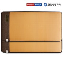 TOP 한일 23년형 AI 인공지능 LG 하우시스 모노륨 그래핀 카본 탄소매트 온열 전기장판, 대형(분리난방 가능), LG 모노륨