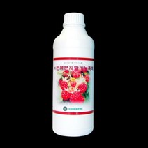 IF1 복분자딸기농축액300g, 300g, 1개