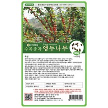 다-앵두나무 50g 나무씨 나무종자 나무씨앗