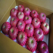 [경북사과]고당도 알뜰 햇사과 특가행사 가정용, 1box, 17.선물용 및 제수용 사과 10kg/대과