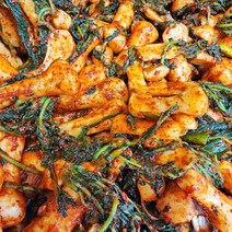 올바른새움푸드 농가수제 매콤 아삭 알타리김치 총각김치, 총각김치 2kg