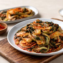 얼갈이김치 2kg 보성엔 녹차김치 전라도 겉절이 별미, kg
