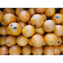 퓨어스펙 고당도 블랙라벨 12브릭스 쥬스용 착즙용 오렌지 17-18kg, 17-18kg 사이즈랜덤 출고