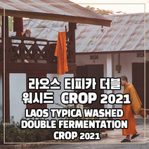 (커피생두) 244 라오스 티피카 더블 워시드 CROP 2021 1kg