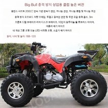 사륜오토바이 해변 산악자전거 전기 구동 레저용 4륜, Big Bull CVT 충격 방지 체인 디럭스 에