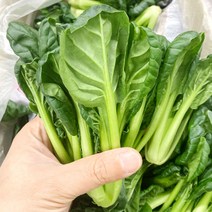 다채 1kg, 1개