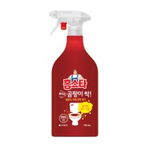 홈스타 뿌리는 곰팡이 싹 750ml, 1세트