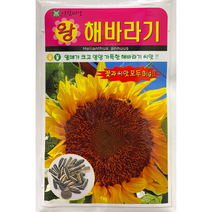왕해바라기씨앗100립열매가 커서 식용으로 많이 이용, 1개