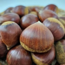 23년 국산 햇밤 생밤 1kg 2kg 3kg 5kg, 2kg(대), 1개