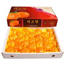 농장직송 고당도 레드향 3kg 5kg 10kg, 1박스, 레드향 5kg 대(24~27과)