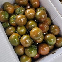 국산 프리미엄 흑토마토 2.5kg 5kg