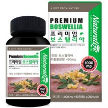 관절 연골 보스웰리아 정 알약 캡슐 정제 인도산 유향나무 원물 추출 분말 고함량 보스웰릭산 성분 무릎관절 손목 손가락 뼈 영양제 NAG 상어연골 초록입홍합 비타민D 효능 보수엘리아 추천 먹는법, 2통 (2개월), 60정