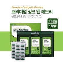 두뇌 뇌 기능 잦은 깜빡거림 기억력 집중력 저하 감퇴 머리 혈액 회전 순환 개선 향상 에 좋은 먹는 징코 메모리 영양제, 1BOX(3개월분)