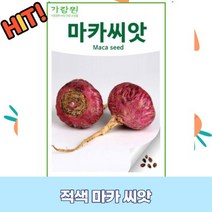 적색 마카 씨앗 100립 GR1