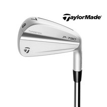 테일러메이드 P790 아이언 세트