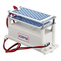 공기 청정기 220V 60 그램/시간 h 공기 청정기 오존 발생기 110V 휴대용 Ozonizador 공기 청정기 Ozonizer, 03 110V 60g