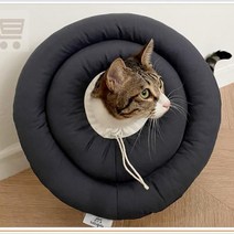 반려동물 가벼운 넥카라 S XL 동물병원납품, 스카이블루, M