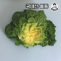 [농사임당] 국내산 봄동 배추 500g / 1kg, 1개