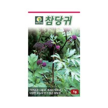 다농 참당귀 씨앗 1g