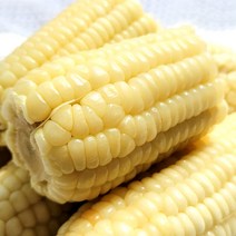 쫀득쫀득 맛있는 삶은 찰옥수수 냉동, 백찰옥수수 특대 10개