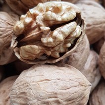 [택배무료] 까기 쉬운 안동 초롱초롱국산호두 1kg, 특상품(S등급)