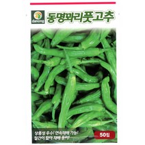 동명꽈리풋고추씨앗 50립 다농, 없음
