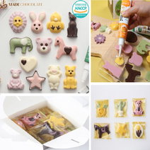 수제초콜릿 발렌타인데이 동물 초콜릿 만들기 세트 DIY 키트 초코펜 생일 입학 졸업 선물